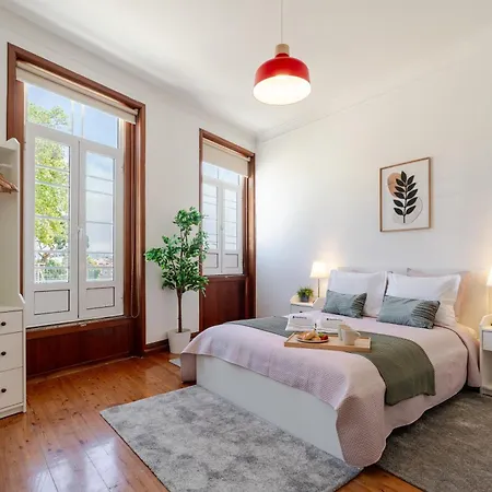 Apartment Host Wise - Classy Amazing Flats *